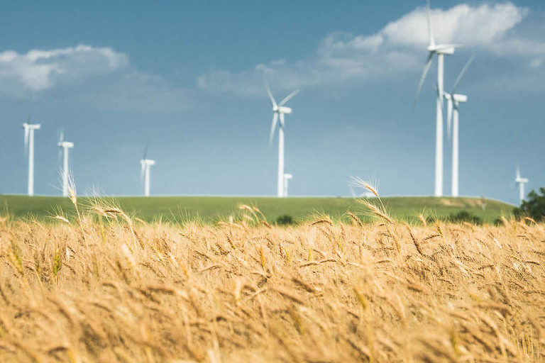 If I remember only two things about the state of Kansas, they are the wheat and the wind.