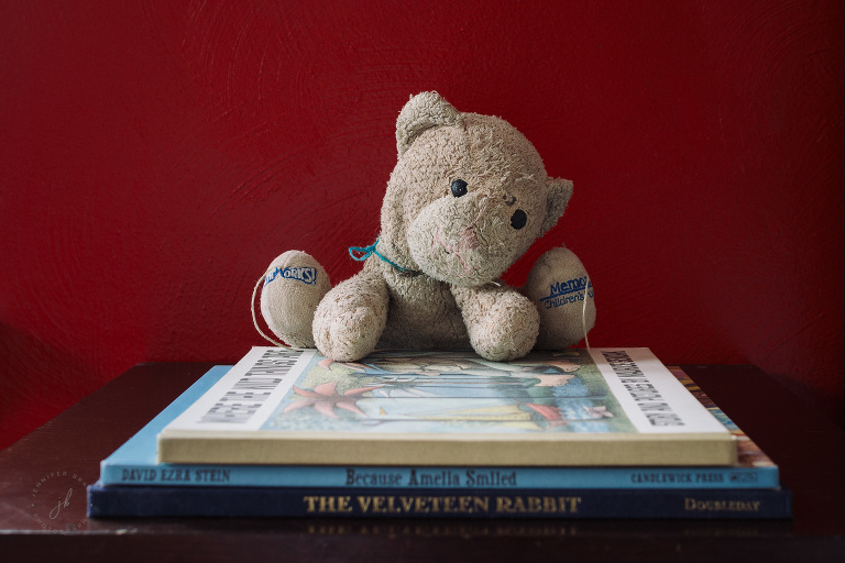 Carmine, the lovey that lives, pictured with three of our favorite books, "The Velveteen Rabbit" by Margery Williams Bianco, "Because Amelia Smiled" by David Ezra Stein, and "Where the Wild Things Are" by Maurice Sendak